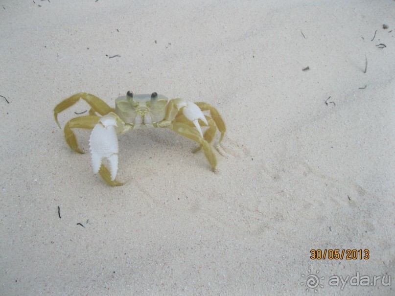 Не плохо, но в этот отель больше не поеду.