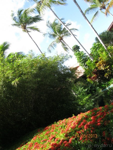 Не плохо, но в этот отель больше не поеду.