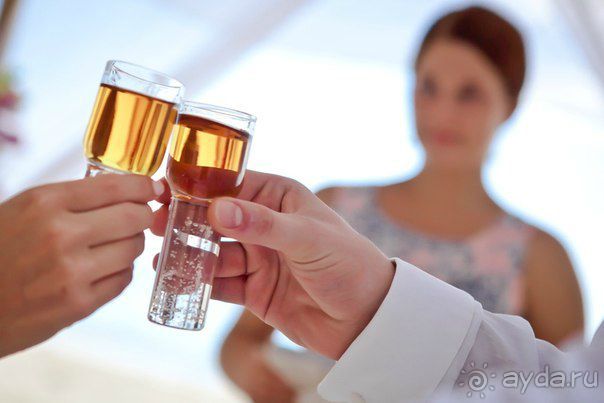 Альбом отзыва "Наша свадьба в Доминикане"