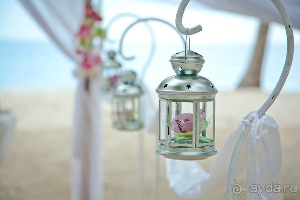 Альбом отзыва "Наша свадьба в Доминикане"