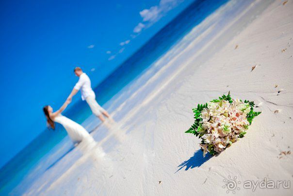 Альбом отзыва "Наша свадьба в Доминикане"