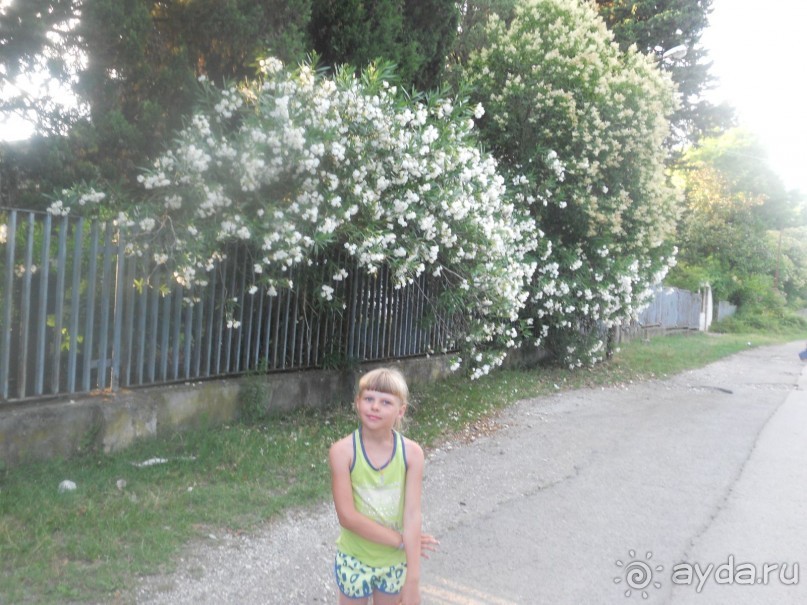 пансионат из прошлого