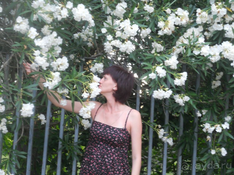 пансионат из прошлого