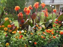 Эх, вот бы лето два раза в год!