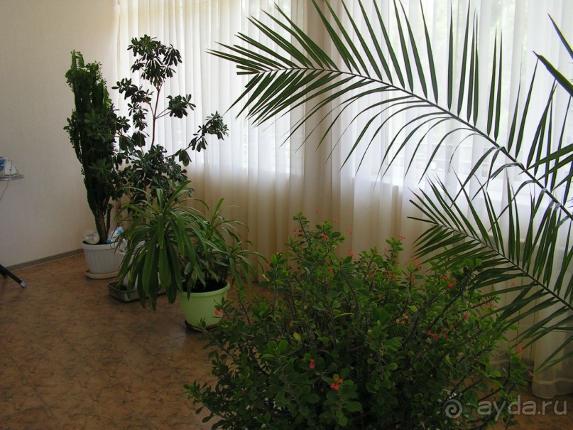 Эх, вот бы лето два раза в год!