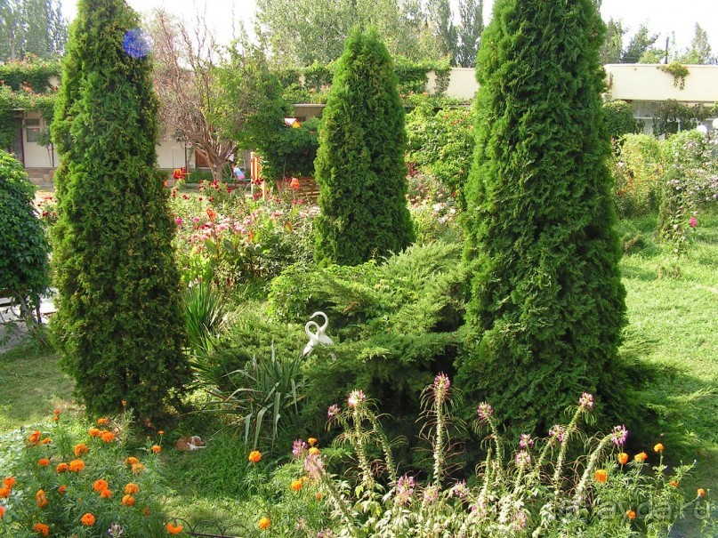 Эх, вот бы лето два раза в год!