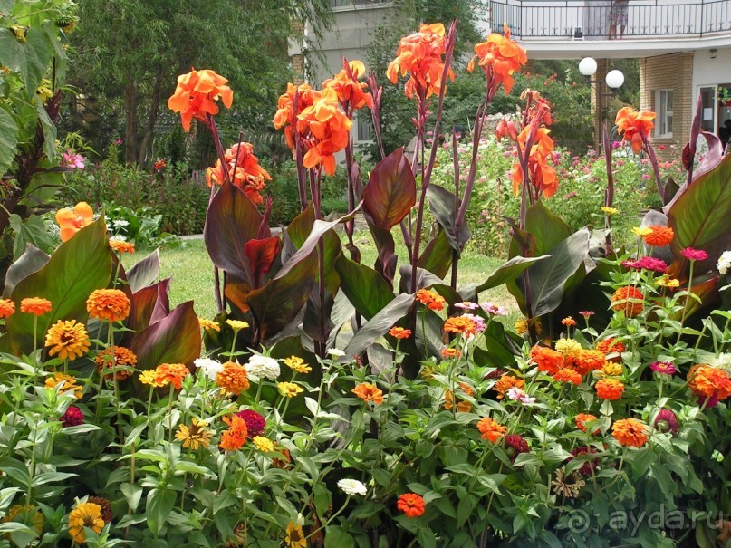 Эх, вот бы лето два раза в год!