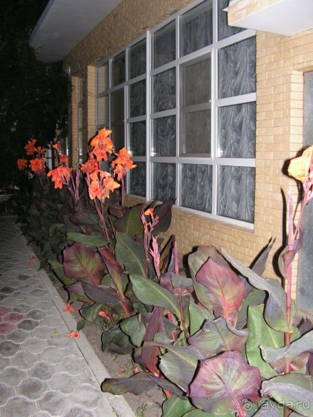 Эх, вот бы лето два раза в год!