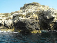 плывем" к чаши любви"