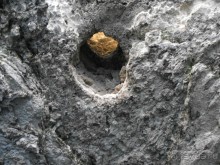 пгт Черноморское Крым