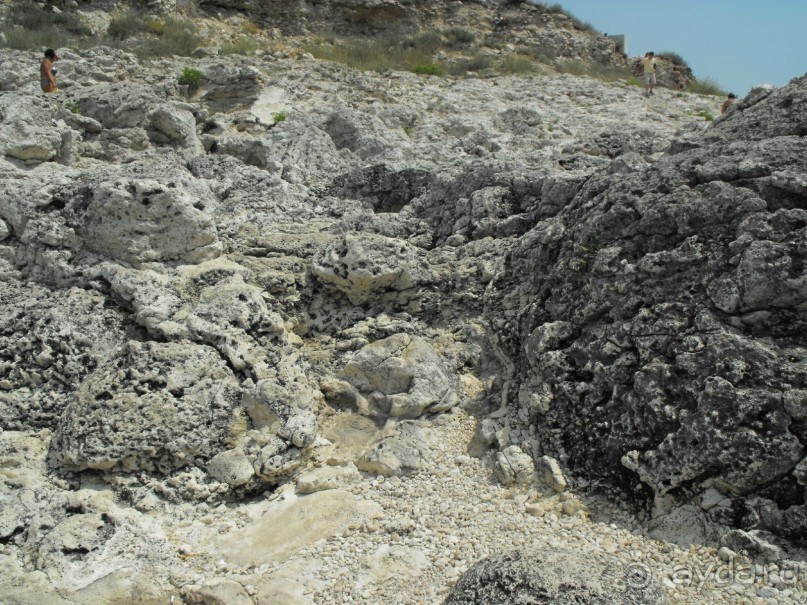 Там же "чаша любви"