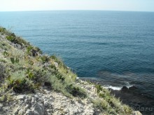 На чаше любви