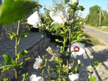 пгт Черноморское Крым