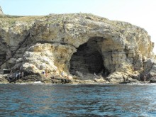 плывем" к чаши любви"