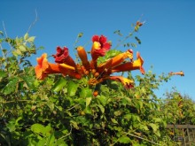 пгт Черноморское Крым