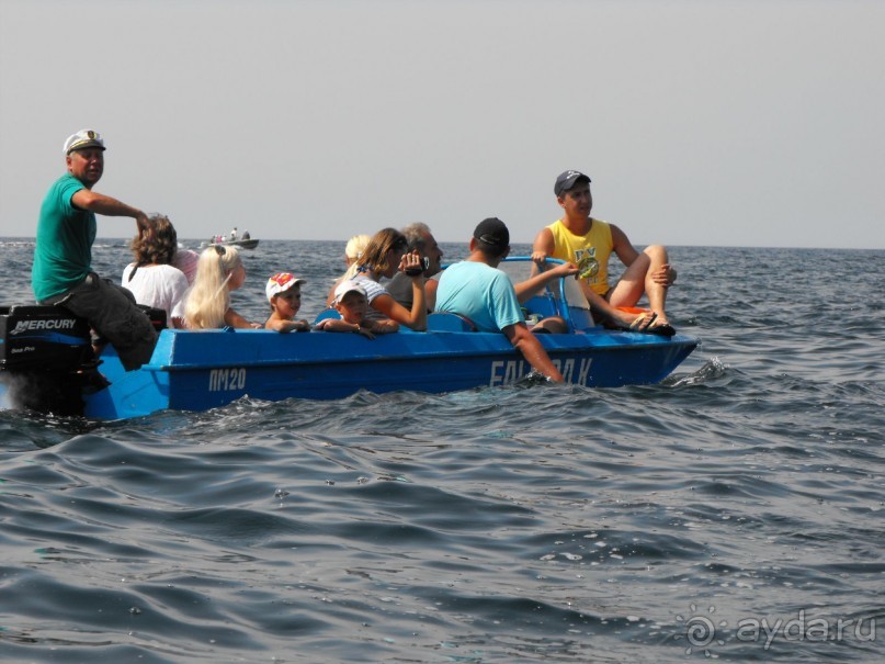 плывем" к чаши любви"