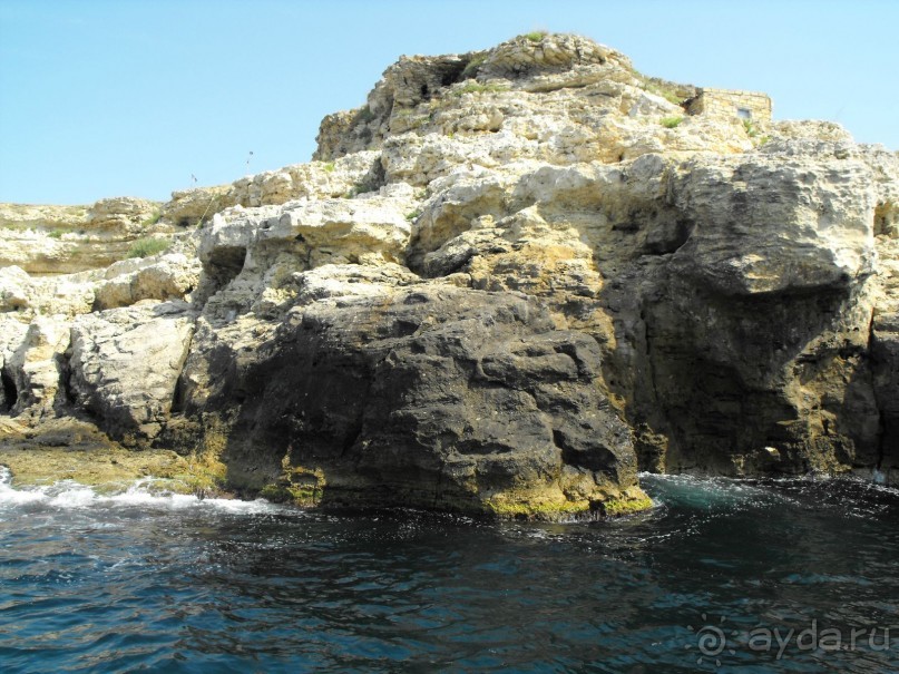 плывем" к чаши любви"