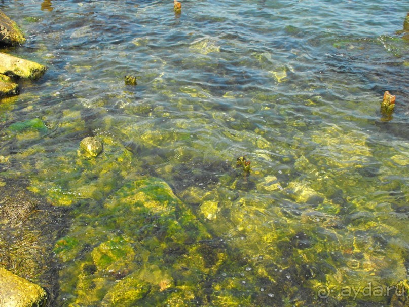 пгт Черноморское Крым