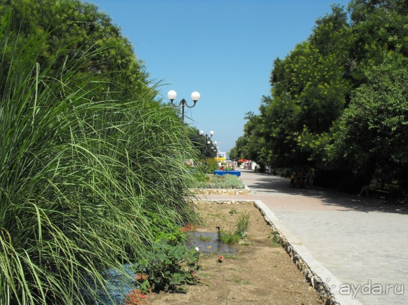 парк к морю