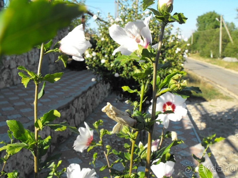 пгт Черноморское Крым