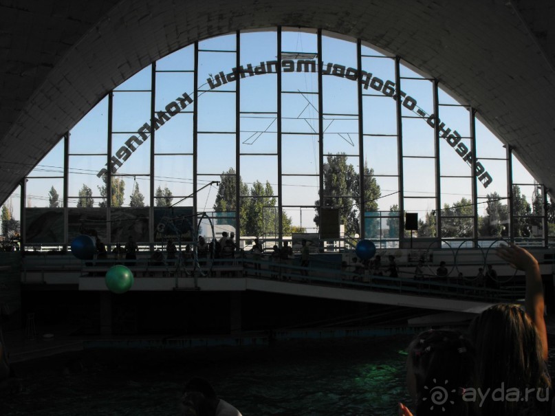 дельфинарий в парке Евпатория