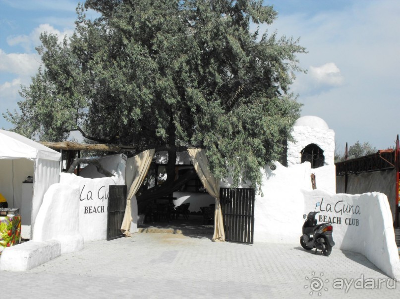 кафе лагуна бич на территории пляжа