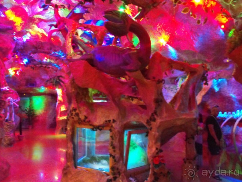 можно еще и рыбок посомтреть,только фоткайте без вспышки,чтоб не ругались!