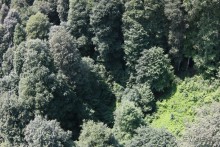 Горнолыжный курорт "Роза Хутор" Сочи.