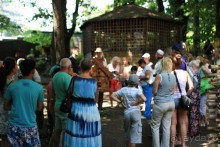 Горнолыжный курорт "Роза Хутор" Сочи.