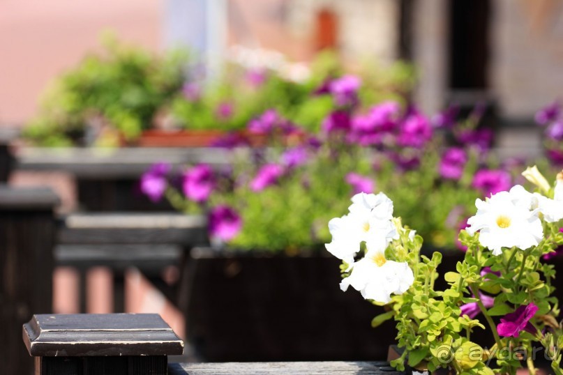 Горнолыжный курорт "Роза Хутор" Сочи.