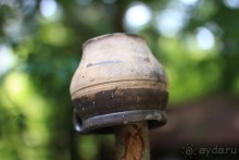 фото Radisson Blu Paradise Resort & Spa, Sochi