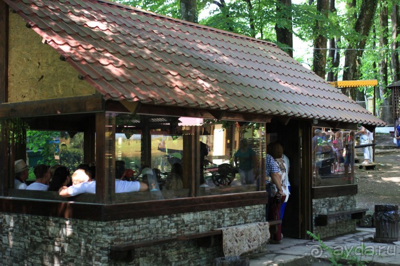 фото Radisson Blu Paradise Resort & Spa, Sochi