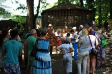 фото Radisson Blu Paradise Resort & Spa, Sochi