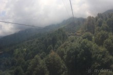  Сочи и Олимпийский парк2015
