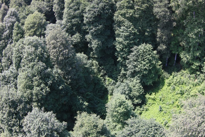 фото Radisson Blu Paradise Resort & Spa, Sochi