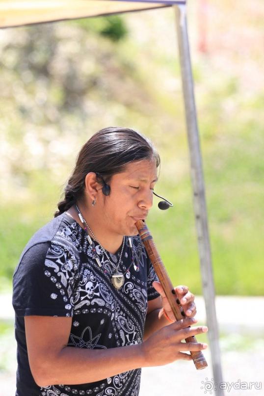 фото Radisson Blu Paradise Resort & Spa, Sochi