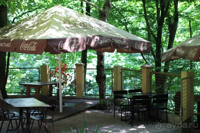 фото Radisson Blu Paradise Resort & Spa, Sochi