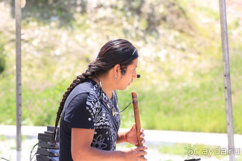 фото Radisson Blu Paradise Resort & Spa, Sochi