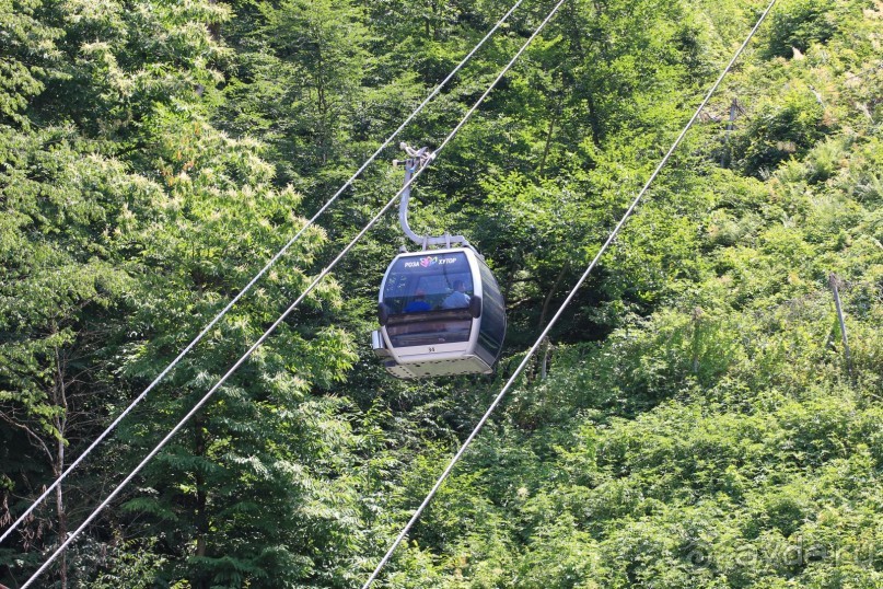 фото Radisson Blu Paradise Resort & Spa, Sochi