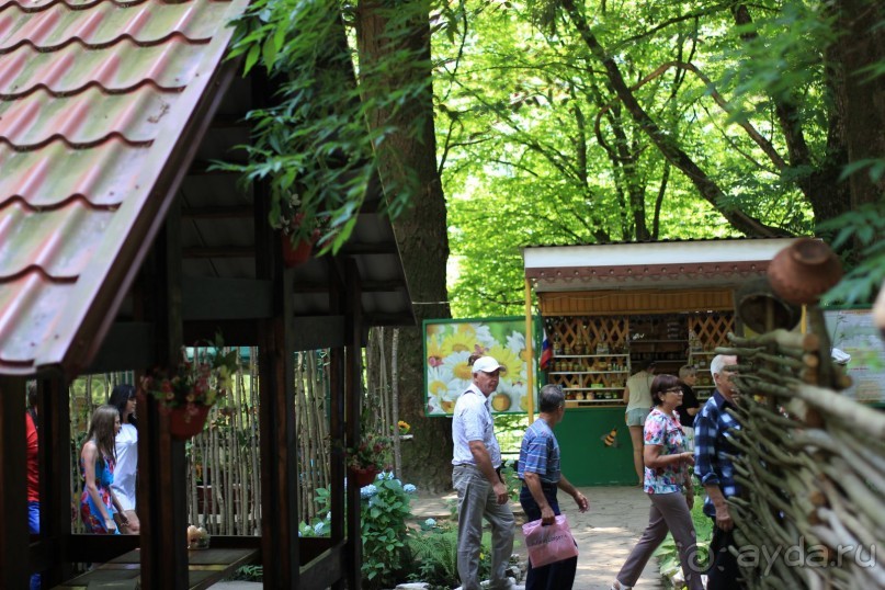 фото Radisson Blu Paradise Resort & Spa, Sochi