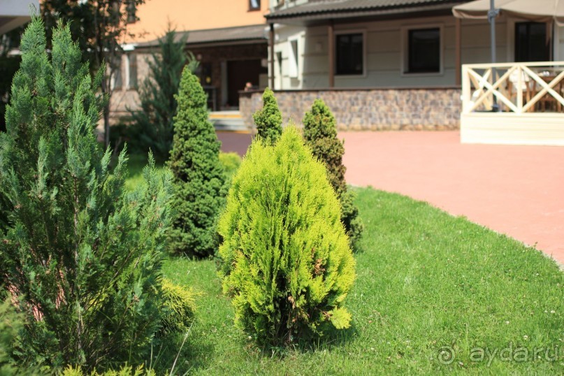 фото Radisson Blu Paradise Resort & Spa, Sochi