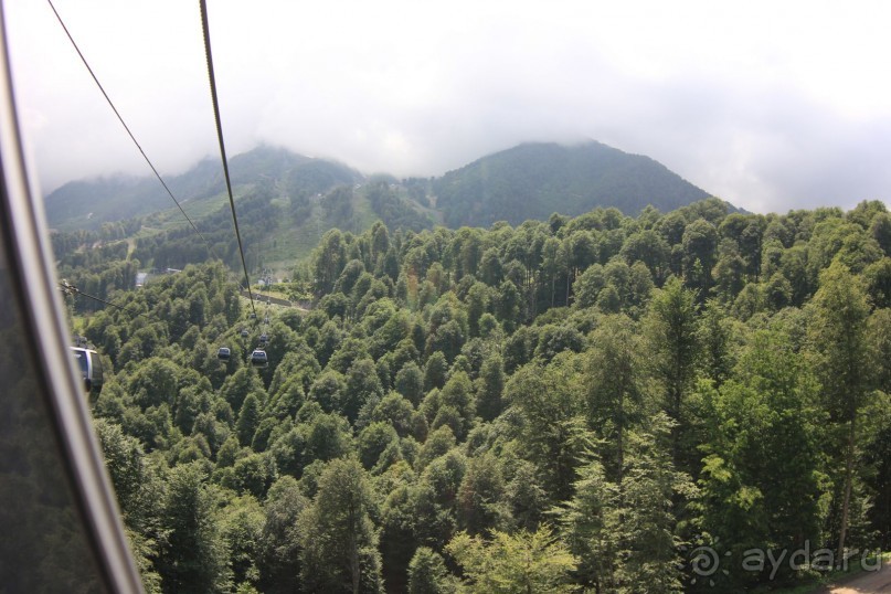 фото Radisson Blu Paradise Resort & Spa, Sochi