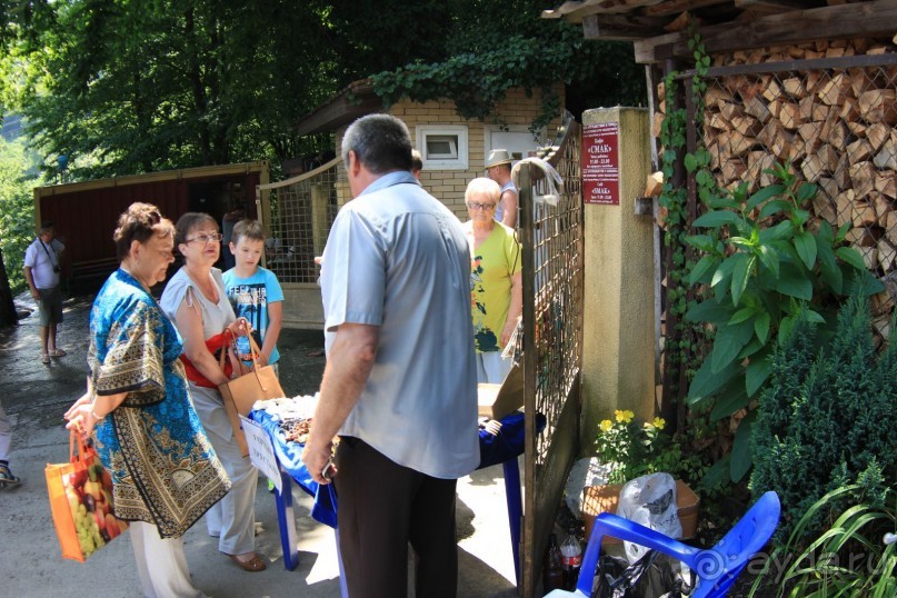 фото Radisson Blu Paradise Resort & Spa, Sochi