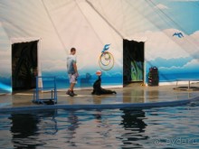 Радуга - море красок