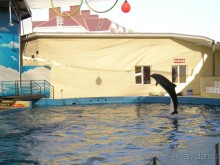 Радуга - море красок