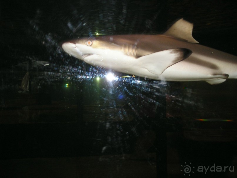 Радуга - море красок