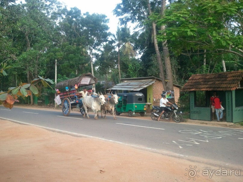 Трудный путь за знаниями и приключениями.