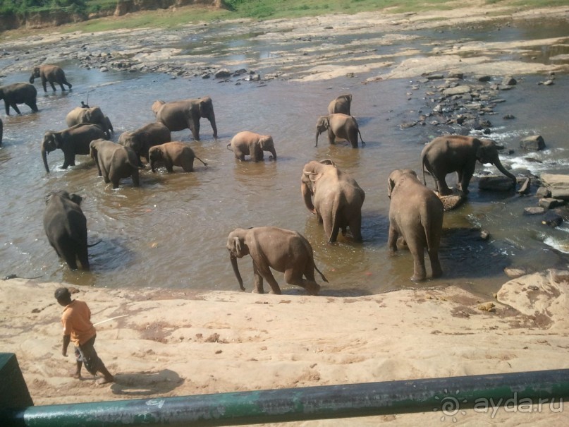 Трудный путь за знаниями и приключениями.