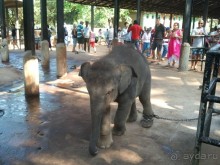 Трудный путь за знаниями и приключениями.
