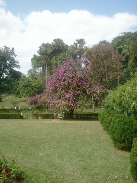 Трудный путь за знаниями и приключениями.